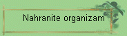 Nahranite organizam