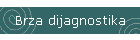 Brza dijagnostika