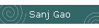 Sanj Gao