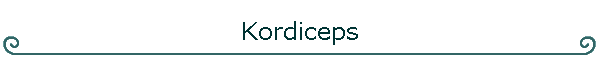 Kordiceps