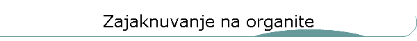 Zajaknuvanje na organite