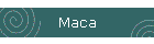 Maca